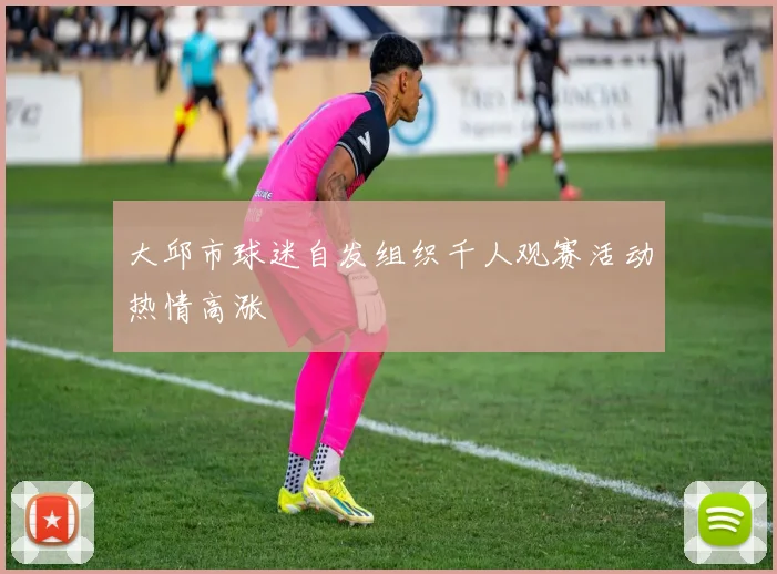 大邱市球迷自发组织千人观赛活动热情高涨