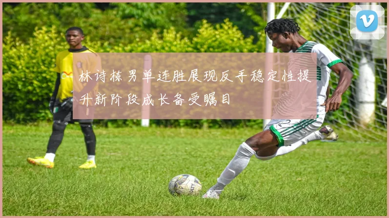 林诗栋男单连胜展现反手稳定性提升新阶段成长备受瞩目